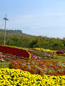 ศูนย์พัฒนาคุณภาพชีวิตผู้สูงอายุ อ.วังน้ำเขียว จ.นครราชสีมา